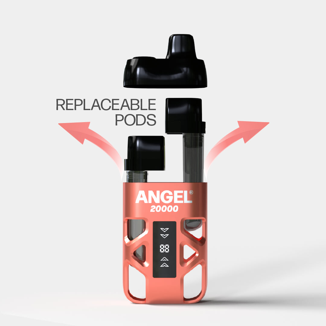 Angel20000_Coraledition02